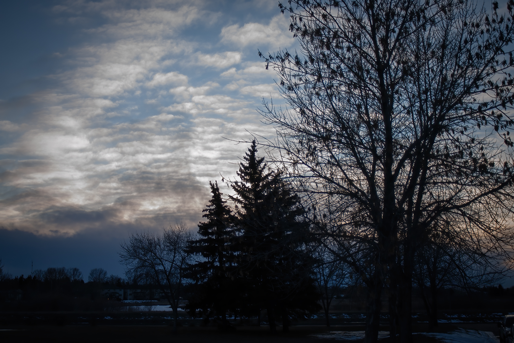 Encroaching Storm, Thornbriar Green, Strathmore, Alberta. 2024-02-25
