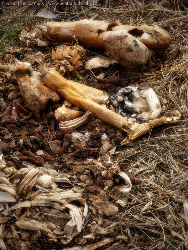 Yes, we compost