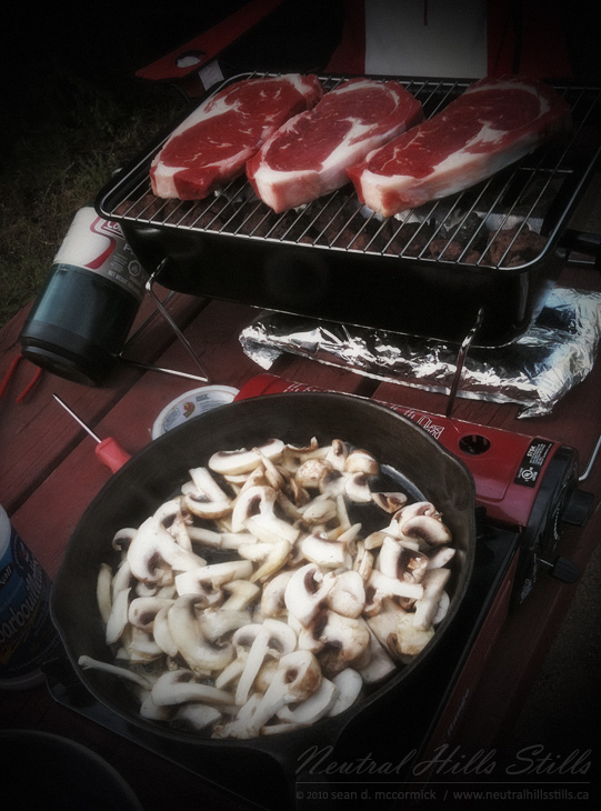 Capt Ayre Lake 2010: Roughing it