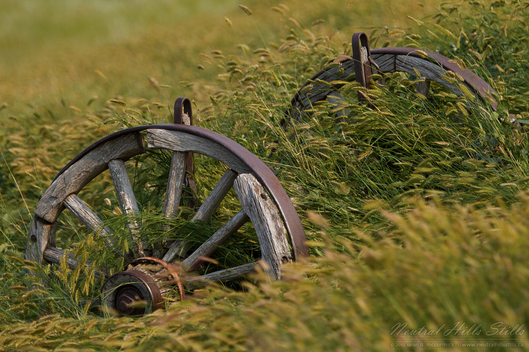 Overgrown wagon wheels