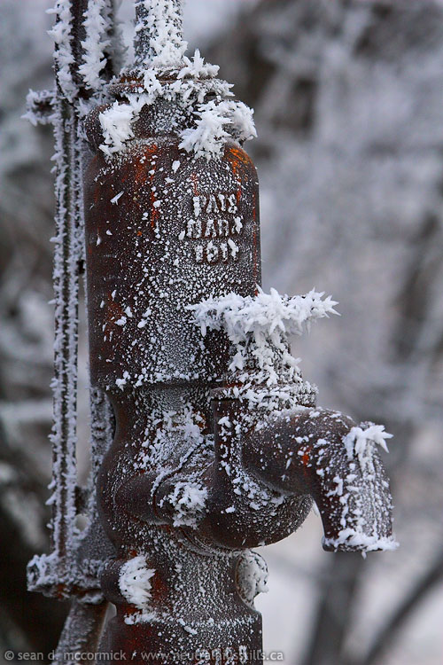 Cold water tap [1 of 2]