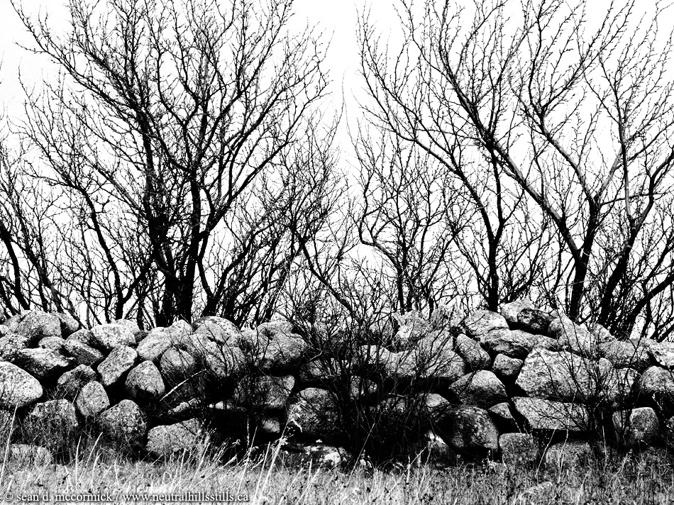 Stone wall by the old Vert homestead