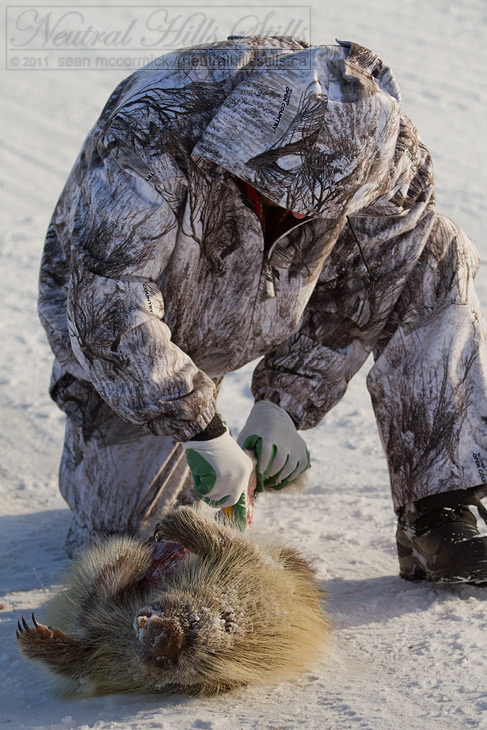 Quills on da Grill: Field dressing a porcupine on Old Twelve [1 of 2]