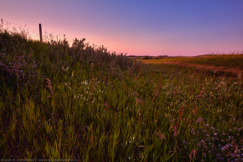Roadside attraction [1 of 2]