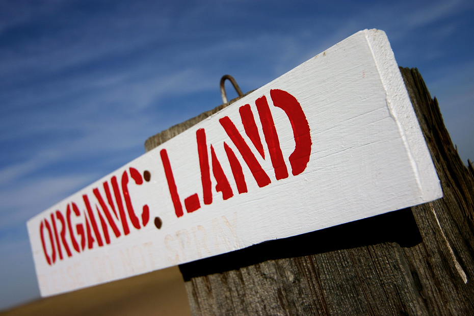 Organic Land