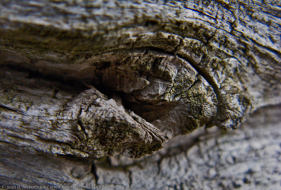 Feeling knotty