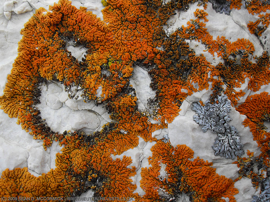Detail underfoot [1 of 2]