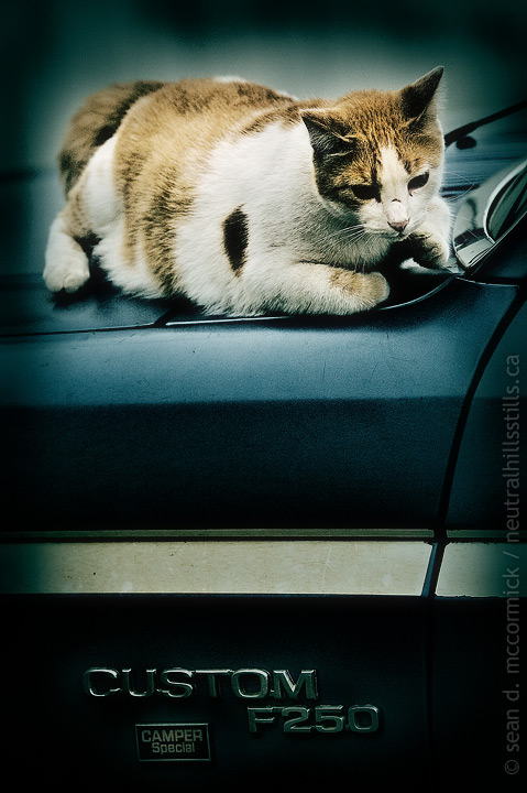 Ford F2Kitty, Mouser Special