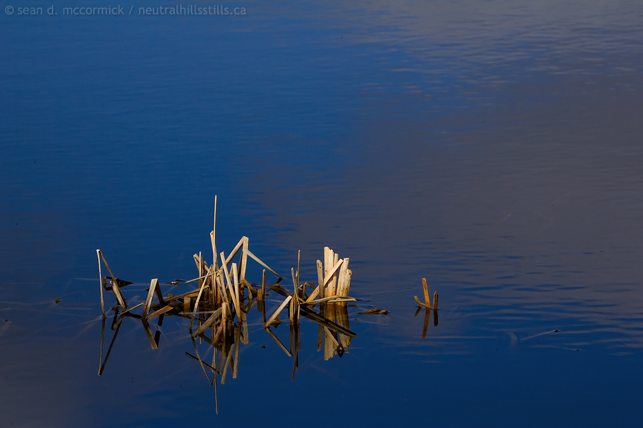 Slough Cruft