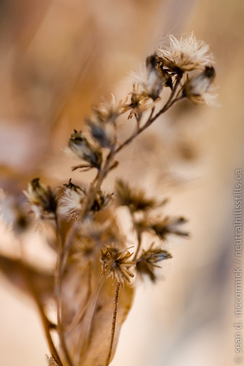 Underfoot