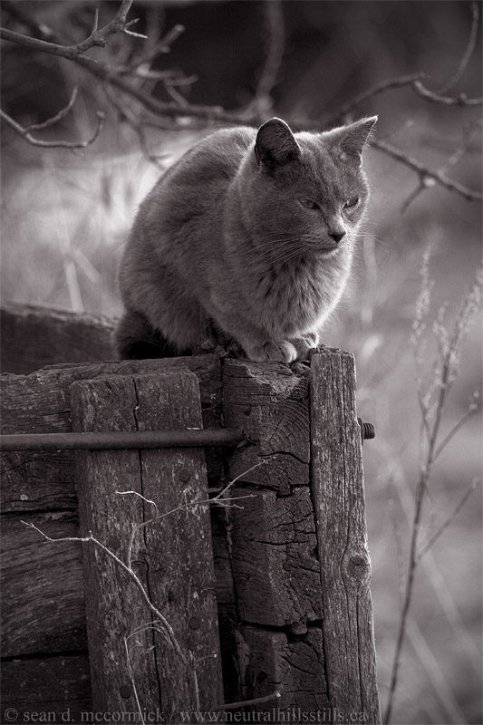 Relaxing at the end of the day
