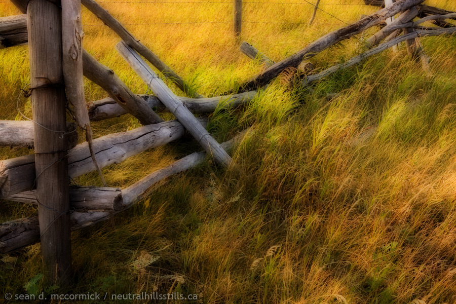 Fallen fence