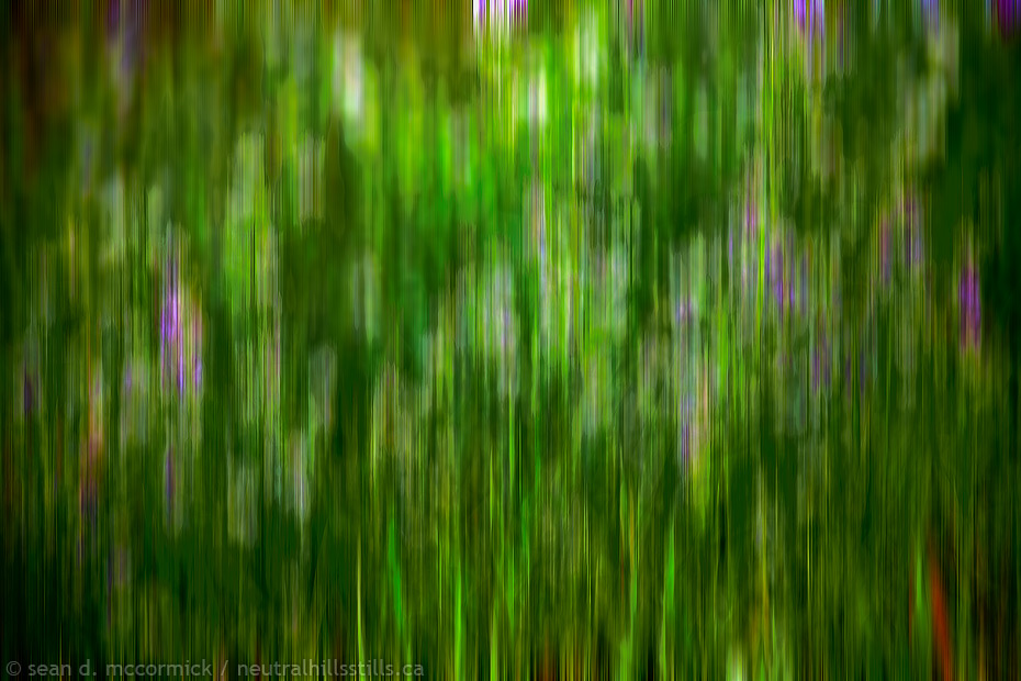 Over the clover
