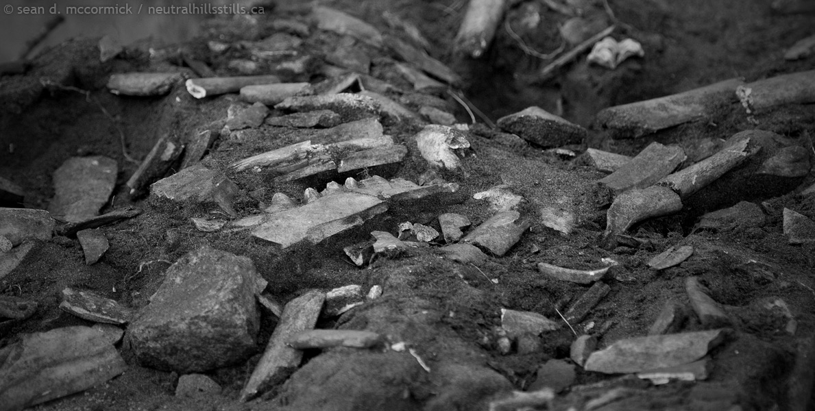Bodo archeological dig: One man's trash...