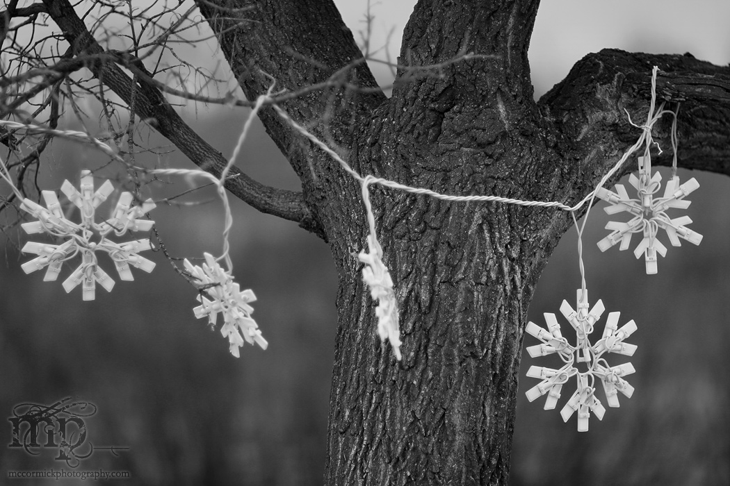 Is it time to put away the X-mas decorations yet?