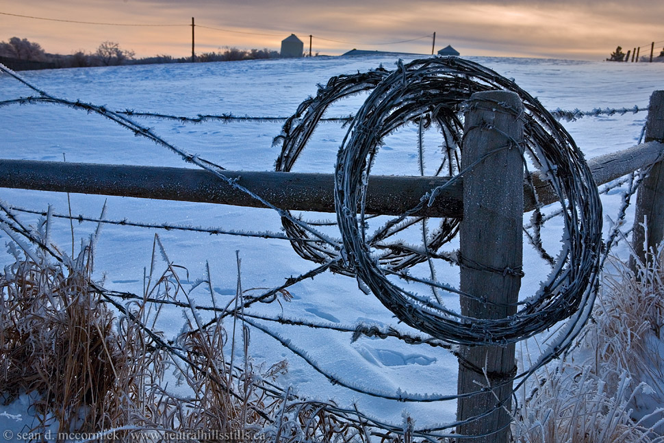 Coiled wire