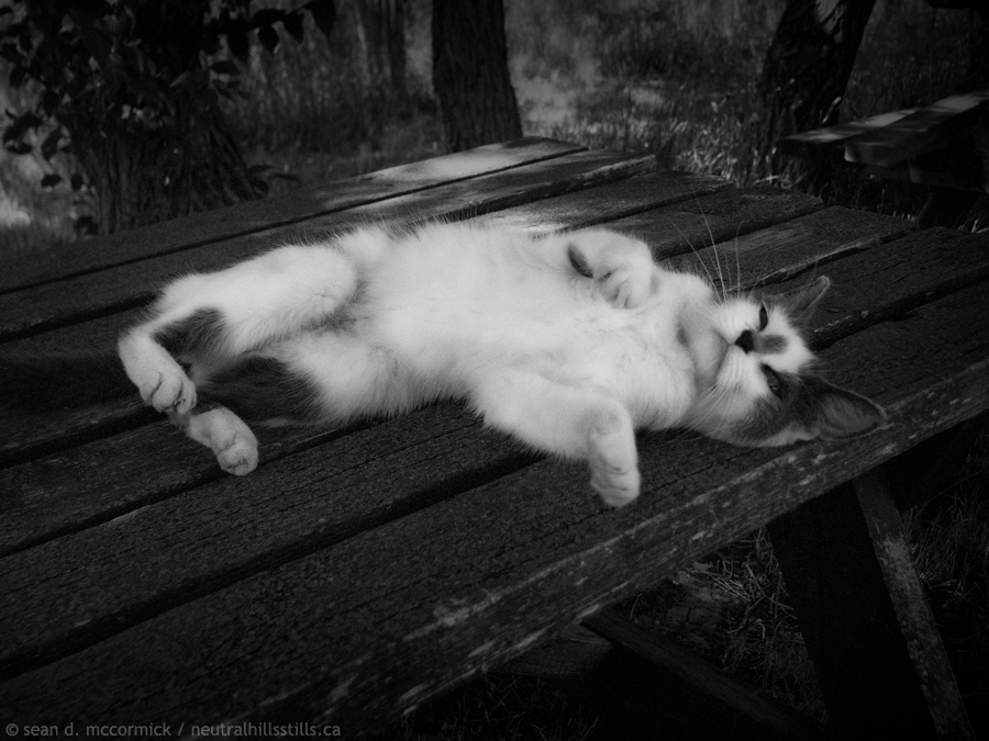 Chillin'