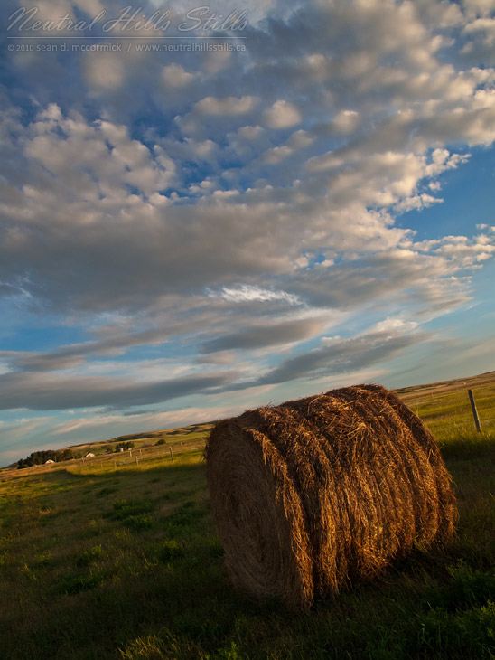 Haying Season 2010: Roadside bale at dusk