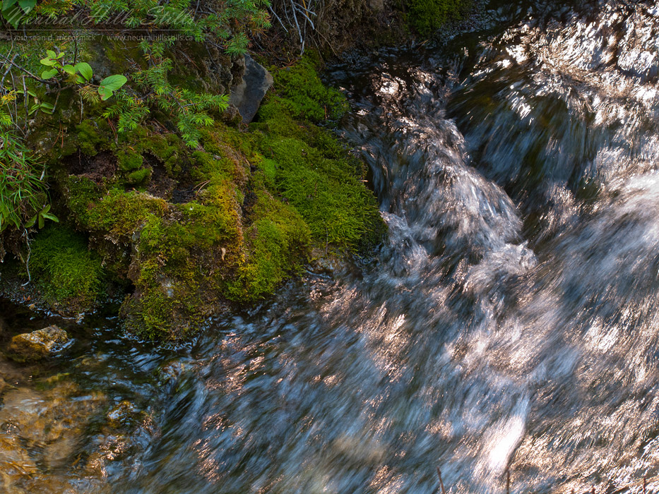 Grassi Lakes Trail: Top of Spray Lakes Falls [1 of 2]