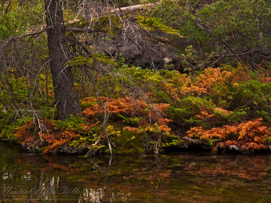 Grassi Lakes: Some Local Colour