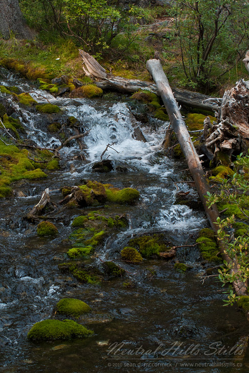 Grassi Lakes Trail: Top of Spray Lakes Falls [2 of 2]