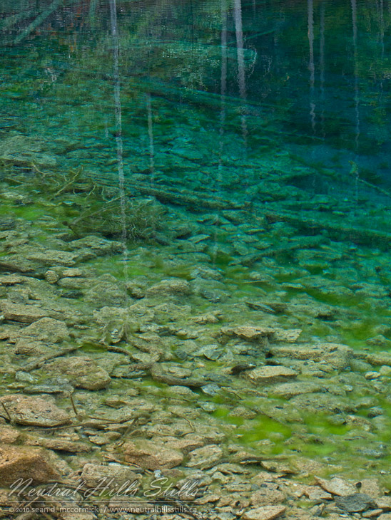 Grassi Lakes: Seeing Bottom Through Reflected Trees Yet Again