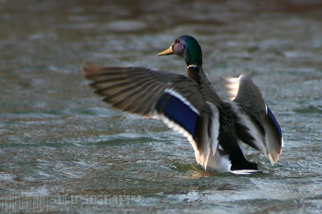 Walking On Water