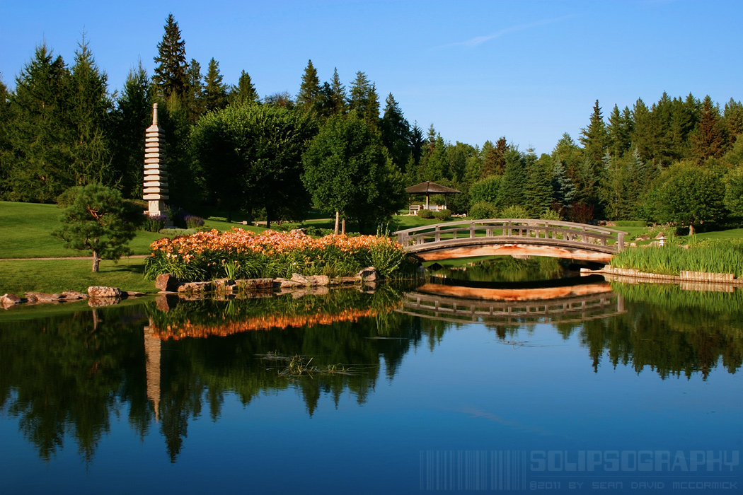 Pond at Devonian Gardens