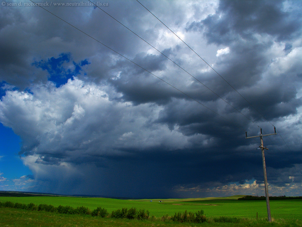 Damn Wires Are Always In My Shots