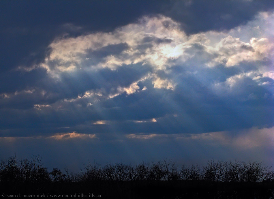 Sunbeams, Apr 29, 2008