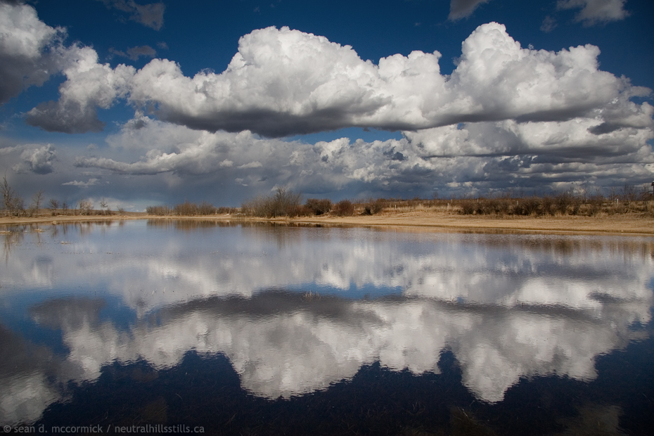 Clouds Reflected in Slough North of Cereal, AB [1 of 3]