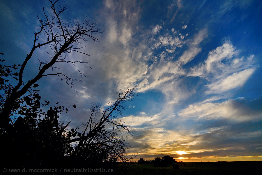 The Sun Sets by Drought Killed Trees, Aug 30, 2007