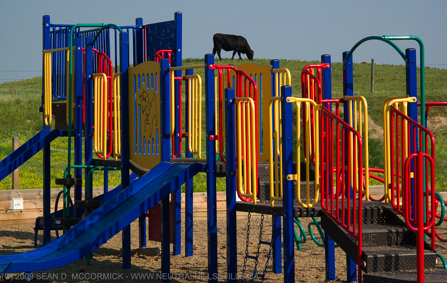 How can you tell this is the playground of a rural school?