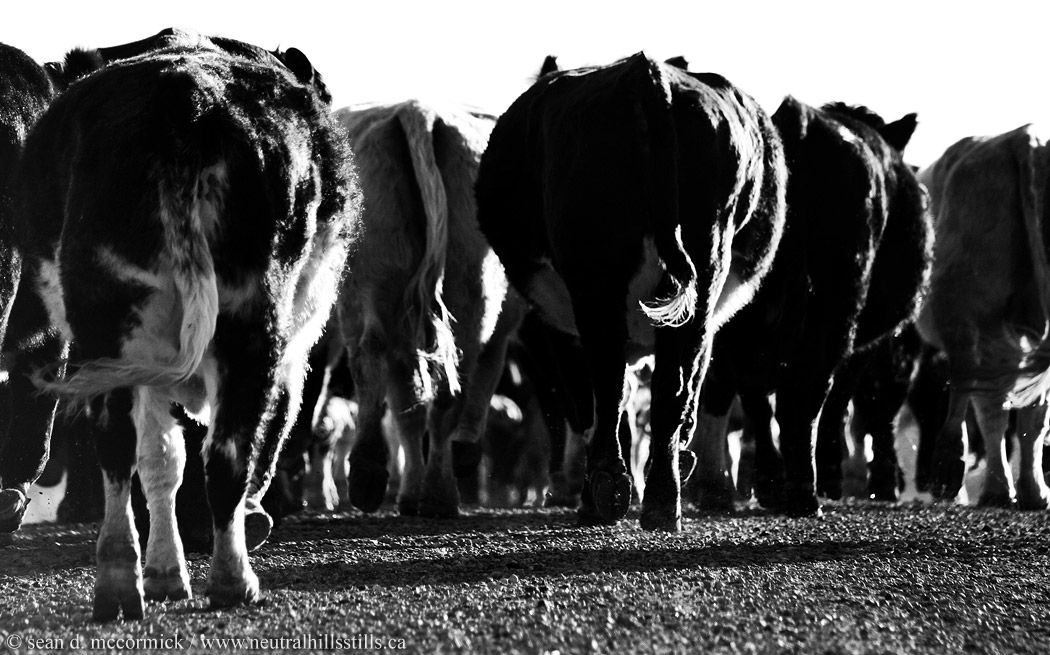 Rush hour
