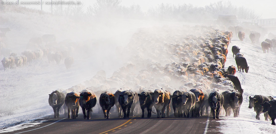 Gridlock on Highway 12