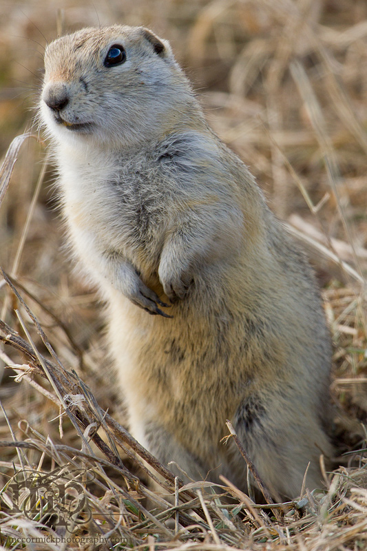 Keeping a watchful eye