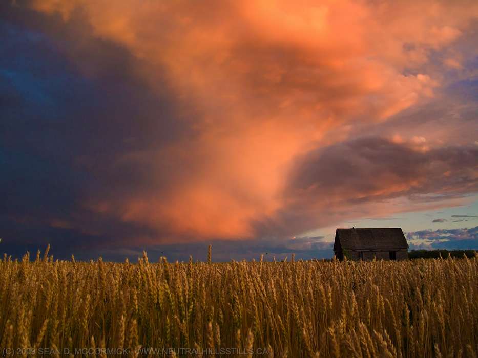 The Old McKinstry Homestead [2 of 2]