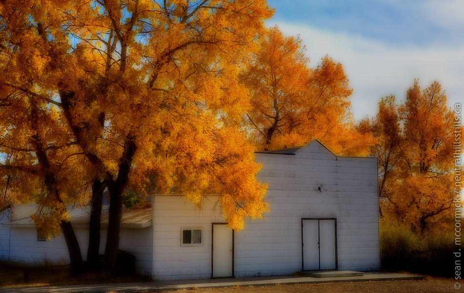 Monitor Hall In Da Fall (Hey, it rhymes!)