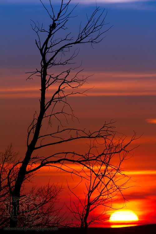 Sunset, Apr 26, 2011: Slinking Away 4 Another Day