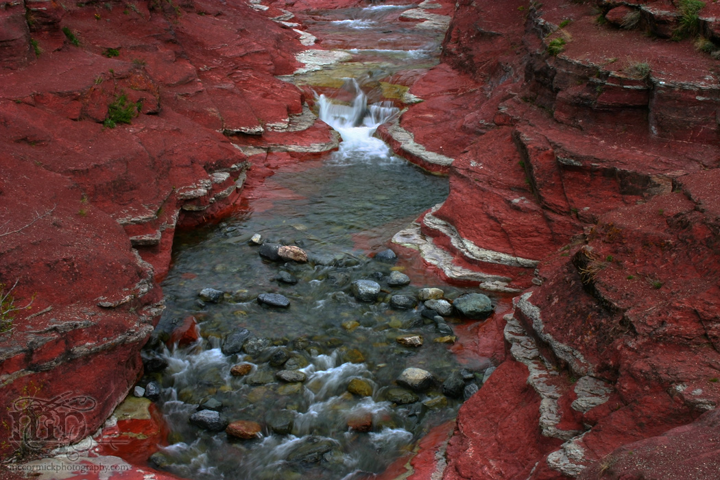 Red Rock Canyon: A river runs through it [3 of 5]
