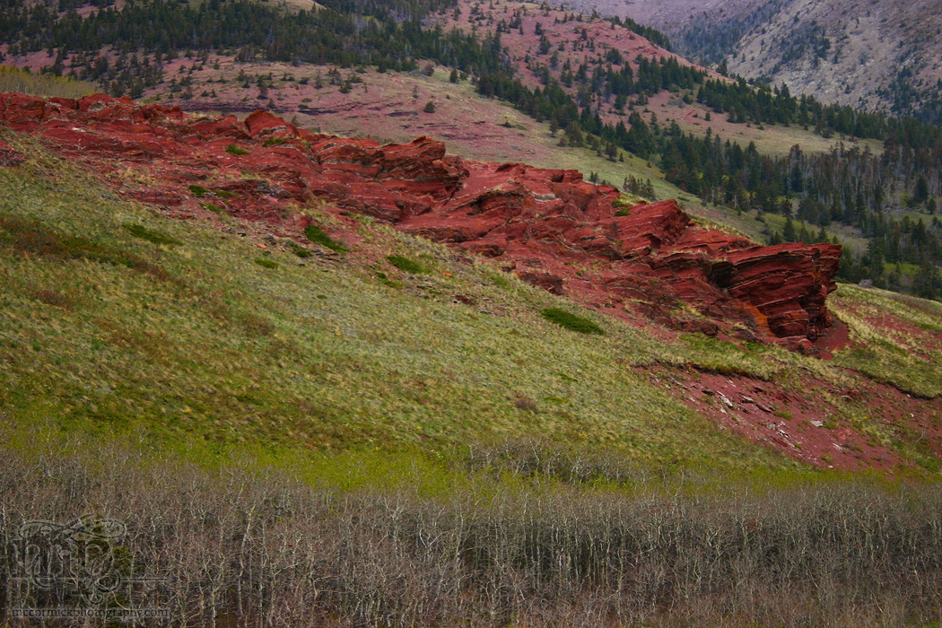 Red Rock Canyon: Jutting
