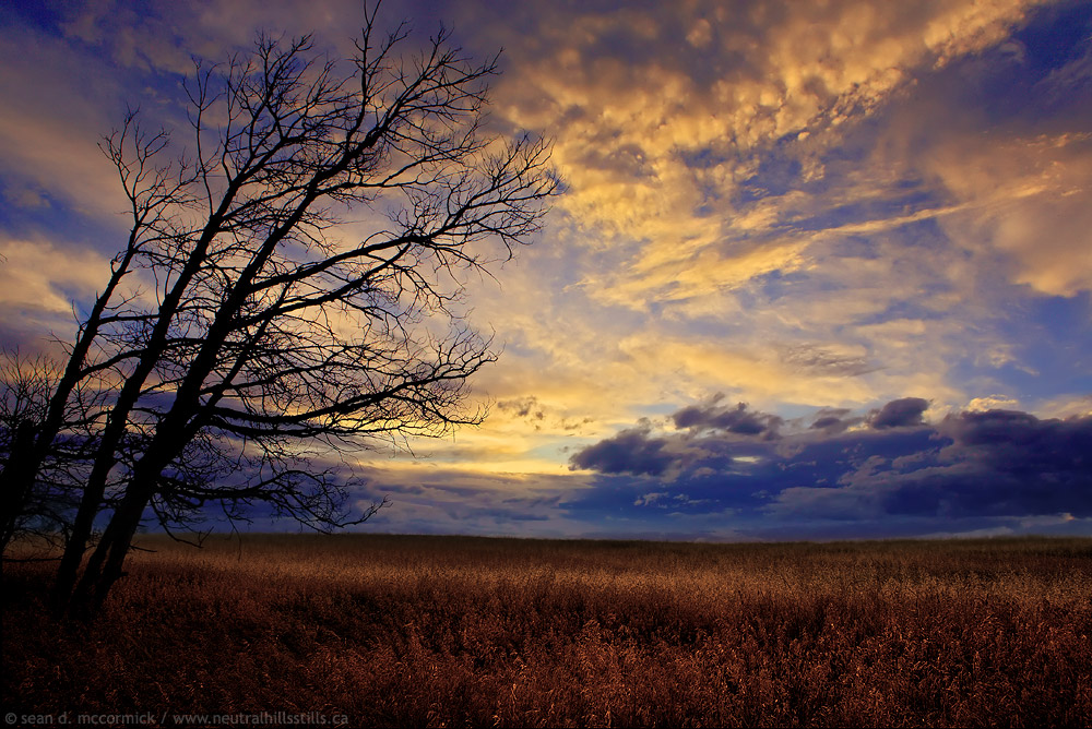 Something from nothing: Sunset, Aug 20, 2008