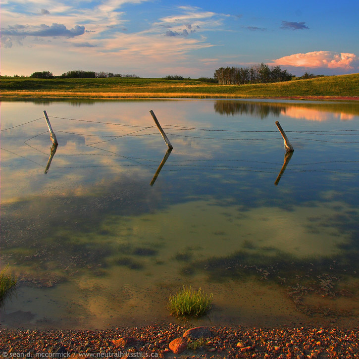 Different layers in the water