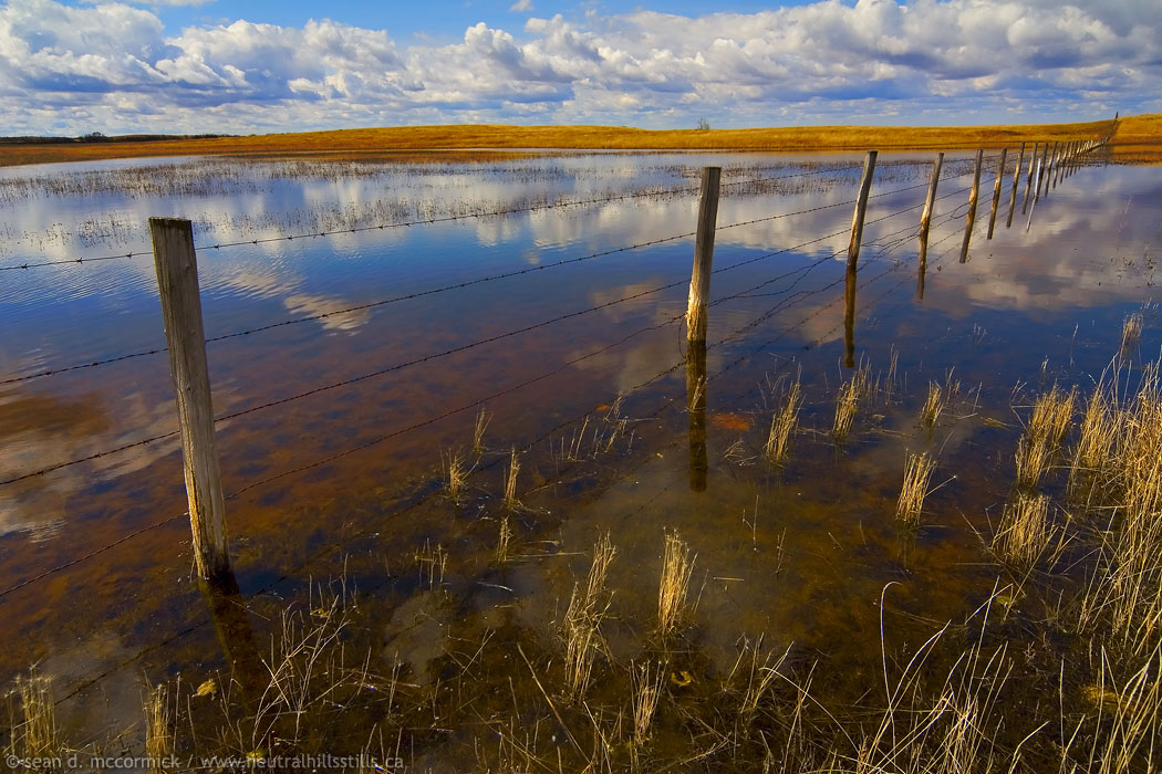 Fence line through the slough