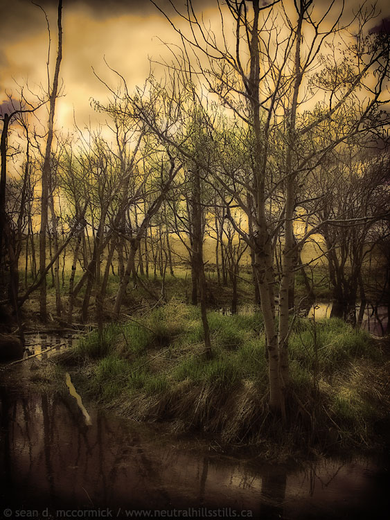 Prairie oasis [2 of 2]