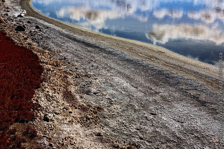 Edge of alkali slough [3 of 3]