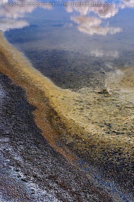 Edge of alkali slough [2 of 3]