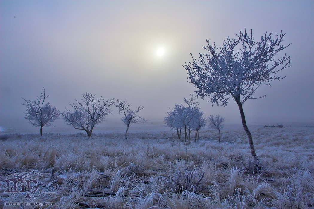Osborne Homestead 2005: Frosty morning [3 of 3]