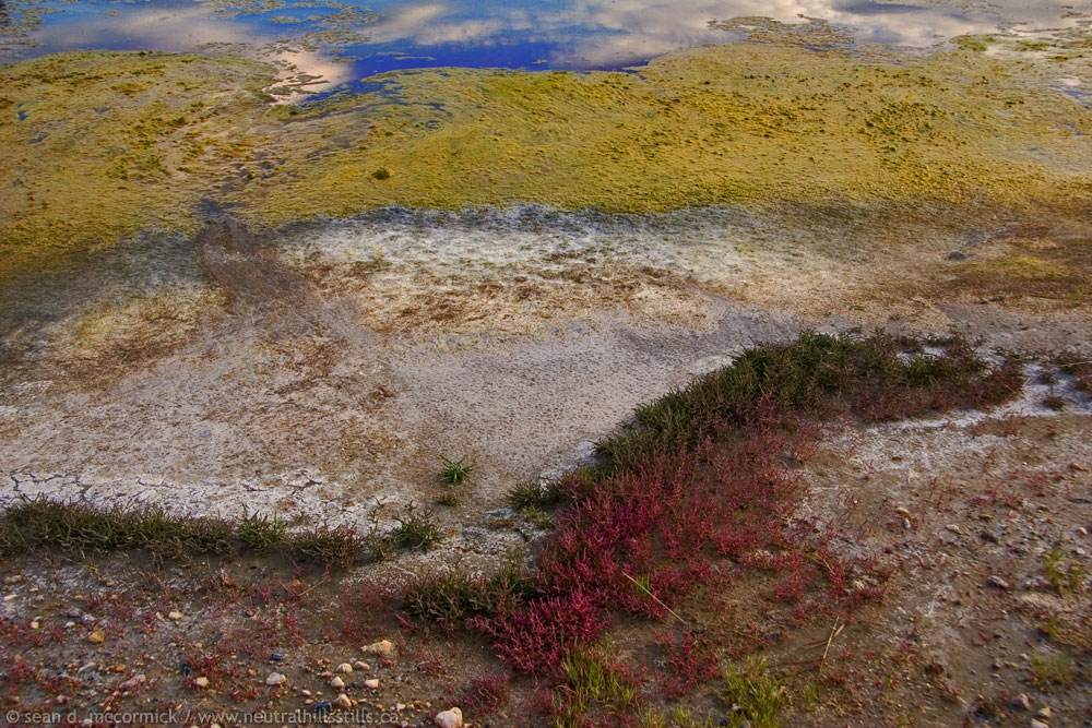 Slough cruft
