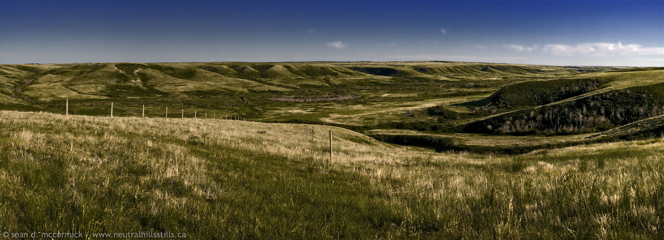 Watson Coulee Panoramic